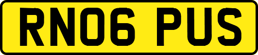 RN06PUS