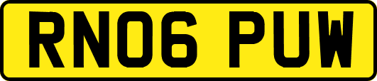 RN06PUW