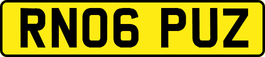 RN06PUZ