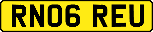 RN06REU