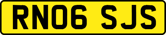 RN06SJS