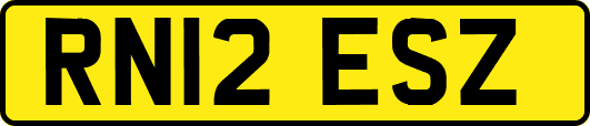 RN12ESZ