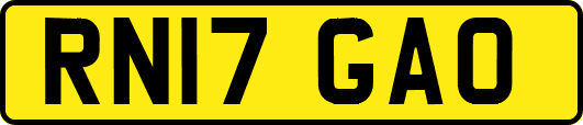 RN17GAO