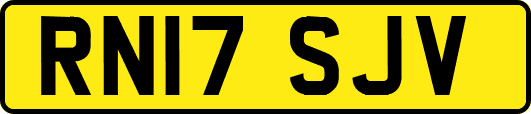 RN17SJV