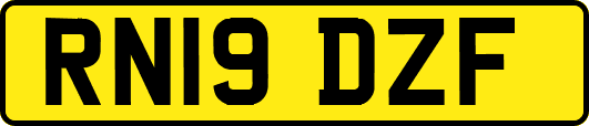 RN19DZF