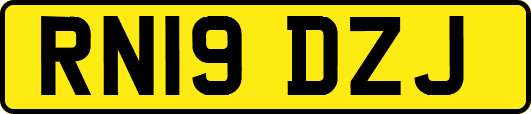 RN19DZJ