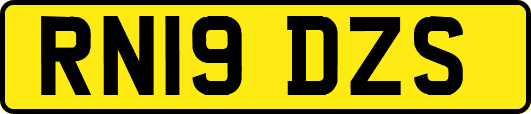 RN19DZS