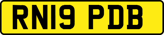 RN19PDB