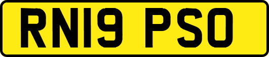 RN19PSO