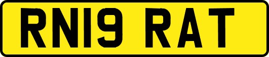 RN19RAT