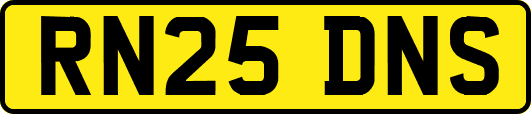 RN25DNS