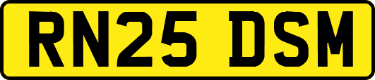 RN25DSM