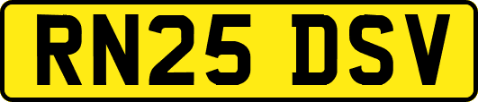 RN25DSV