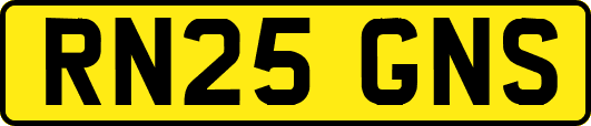 RN25GNS