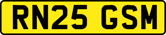 RN25GSM