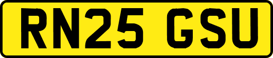 RN25GSU