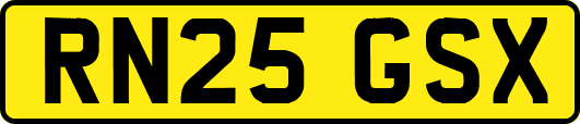 RN25GSX