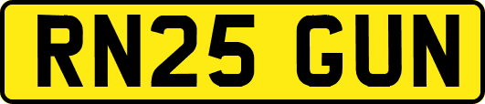 RN25GUN