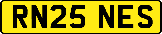 RN25NES