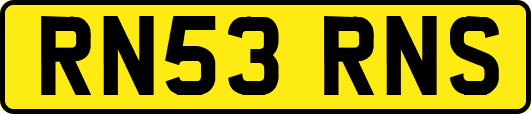 RN53RNS