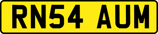 RN54AUM