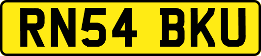RN54BKU