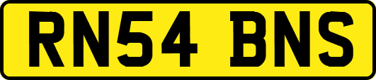 RN54BNS