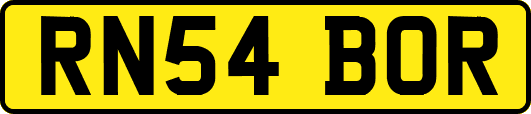 RN54BOR
