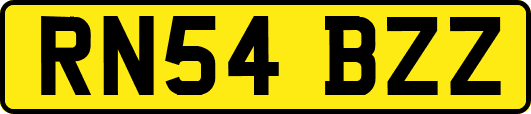 RN54BZZ