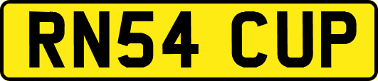 RN54CUP