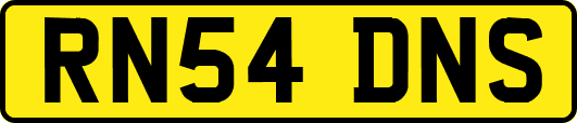 RN54DNS
