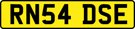 RN54DSE