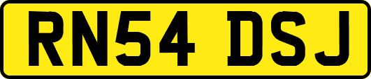 RN54DSJ