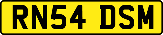 RN54DSM