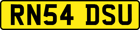 RN54DSU