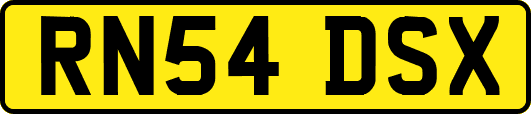 RN54DSX