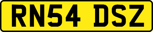 RN54DSZ