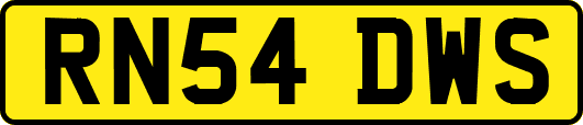 RN54DWS
