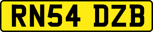 RN54DZB