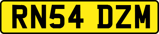 RN54DZM
