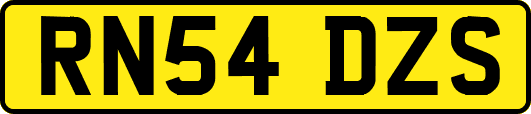 RN54DZS