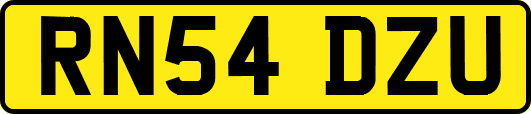 RN54DZU