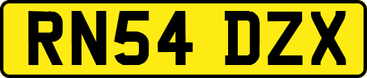 RN54DZX