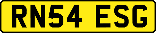 RN54ESG