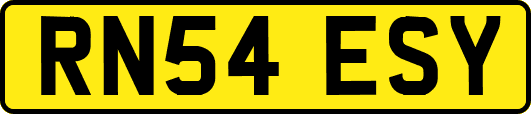 RN54ESY