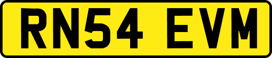 RN54EVM