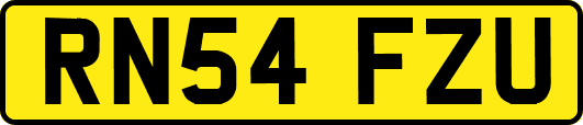 RN54FZU