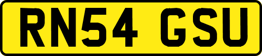 RN54GSU