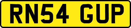 RN54GUP