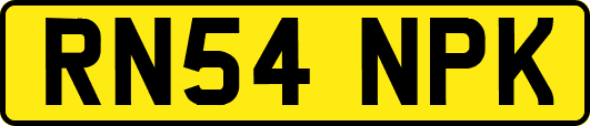 RN54NPK